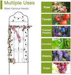 hogardeck Metal 60 * 18in Garden Trellis 2-Packs for Climbing Plants Flowers Vegetables Planting Arched Outdoor Decoration for Courtyards Lawns Gardens - Image 6
