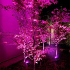 Waterproof Solar Power Lamp Light for Outdoor Plant - Image 3