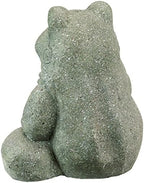 Design Toscano FU84648 The Most Interesting Toad in The World Frog Garden Outdoor Statue, One Size, Gray - Image 4