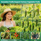 3 Packs Cucumber Trellis for Raised Bed, 50" x 33" A-Shape Garden Trellis for Climbing Plants, Outdoor Metal Arch Vegetable Plant Support for Tomato, Cucumber, Pea, Zucchini & Vine Plants - Image 3