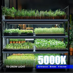 Barrina T5 Plant Lights, 3FT 128W (8 X 16W), 5000K, 8 Packs, Black Cover - Image 3