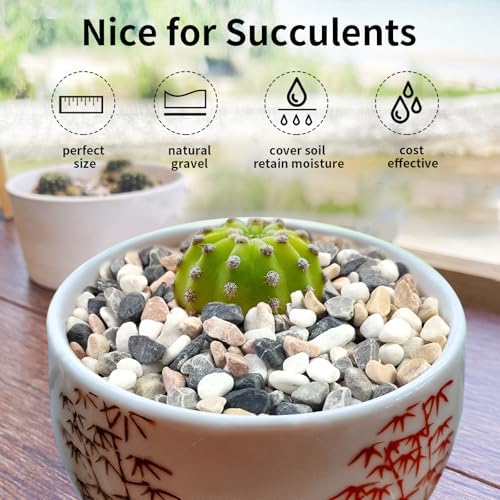 FANTIAN 10 lbs Pebbles for Landscaping, 3/8 Inch Pea Gravel for Plants - Image 5