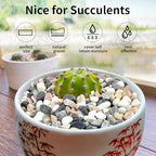 FANTIAN 10 lbs Pebbles for Landscaping, 3/8 Inch Pea Gravel for Plants - Image 5