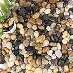Anothera 18-lb Bulk Bag Pebbles for Plants 1-1.5 ” Aquarium Gravel River Rocks Garden Outdoor Decorative Stones by Anothera