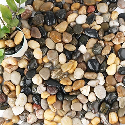 Anothera 18-lb Bulk Bag Pebbles for Plants 1-1.5 ” Aquarium Gravel River Rocks Garden Outdoor Decorative Stones by Anothera