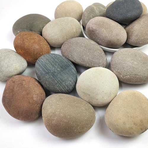 Large River Rocks for Landscaping, 3-4 Inch Mixed Colors Pebbles for Plants and Garden, Premium Rocks for Flower Beds, Indoor Fountains, Paths, Backyards, Fish Tanks(20lbs Bulk) by SHIZWU