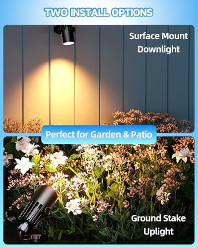 MR11 Mini Landscape Spotlights, 12-24V 2W 2700K, 4-Pack - Image 4