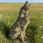 29.72" H x 17.91" L Wolf Sculpture Weather Resin Patio Plant, Grey - Image 6