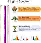 Standing Grow Lights for Indoor Plants, 4FT Plant Growing Lamps for Office - Image 4