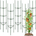 TCBWFY 6-Pack 63-Inch Adjustable Tomato Cages, Heavy-Duty Metal Plant Support Trellis for Garden and Pots, DIY Tomato Stakes, Height Adjustable 16 to 378 Inches by TCBWFY