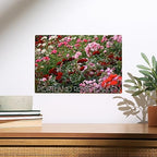 Lantern Press 10x15 Inch Wood Sign, Ready to Hang Wall Decor, Portland, Oregon, Rose Garden Roses - Image 2