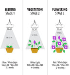 Feit Electric Grow Light 19W 2ft LED for Indoor Plants and Gardens, Full Spectrum Dual Hanging Bulb Grow Light, Hydroponic, GLP24ADJS/19W/LED - Image 7