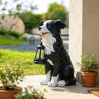 COWOS Solar Border Collie Dog Statue with Lantern, Resin Outdoor Garden Decor, Solar Powered LED Dog Sculpture for Patio Porch Yard by COWOS
