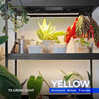 Barrina Grow Lights for Indoor Plant, T5 1FT Full Spectrum, Yellow, 4 Packs - Image 2