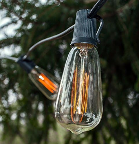 Outdoor Edison Light Bulbs with C9 Black Stringer (ST40 Edison, 25') - Image 5