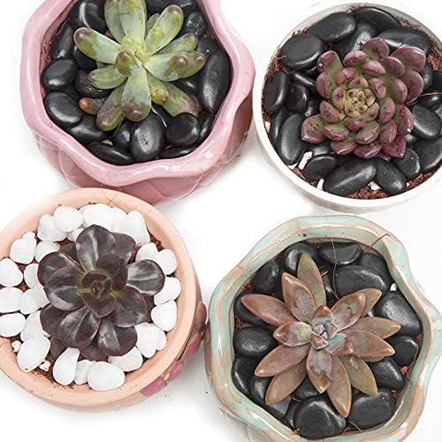10lb Black Small Decorative Pebbles - Gravel River Rock,Natural Polished Decorative Stones 3/8" Gravel Size,Pebbles Gravel for Bamboo Plants,Succulent,Home Decor,Landscaping,Vase Fillers and More. - Image 5