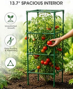 3 Pack Tomato Cages,Square Tomato Plant Stakes Support Cages Trellis for Garden Climbing Vegetables Flowers Fruits,Extra Bold - Image 5