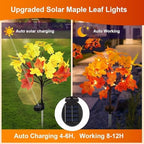 6Pack Fall Solar Lights Outdoor Decorative, Waterproof 120Led Orange Fall Lights with 240 Maple Leaves Path Lights, Solar Lights for Fall Autumn Patio Garden Halloween Thanksgiving Decorations - Image 4