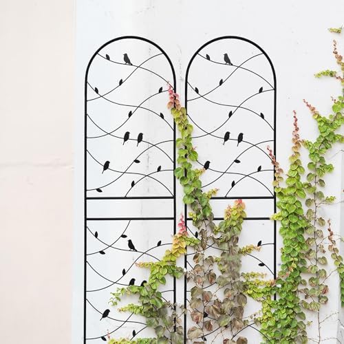 Garden Trellis for Climbing Plants Outdoor, 2-Pack 71" Metal Rustproof - Image 2
