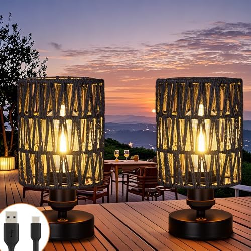 Cordless Rechargeable Outdoor Table Lamps, Battery Operated Table Lamp, Stepless Dimmable for Patio, Living Room, and Bedroom (Bulb Included) - Set of 2 (Black) by ALLFORTUNE