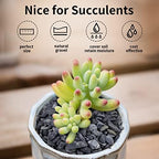 FANTIAN 10 lbs Black Pea Gravel for Landscaping, 3/8 Inch Black Stones - Image 4