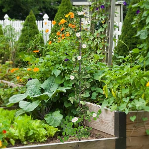 Outdoor Metal Trellis for Climbing Plants, Heavy Duty Rustproof Garden Trellis 45in, Sturdy Plant Support for Roses, Ivy, Tomatoes, Cucumbers, Flowers - Image 6