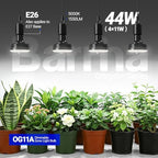 Barrina OG11A Grow Light Bulbs for Indoor Plant, 5000K 11W, 4 Packs, Black - Image 3