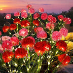 GIGALUMI 6 Pack Solar 42 Chrysanthemum Flowers Outdoor, 2 Modes Multi-Color by GIGALUMI
