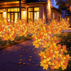 TORONTOKYO 8 Pack Fall Solar Outdoor Lights, Fall Decor 160 LED Maple Leaves Solar Stake Light with 8 Modes, Waterproof Fall Garden Lights Thanksgiving Decorations for Autumn Yard Pathway Outside by TORONTOKYO