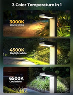 COXSENI Solar Pathway Lights Outdoor,3 Color Temperatures,20 LEDs,8 Pack - Image 4