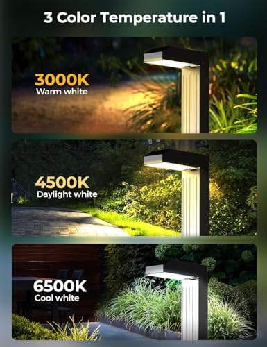 COXSENI Solar Pathway Lights Outdoor,3 Color Temperatures,20 LEDs,8 Pack - Image 4