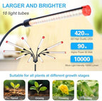 10Head Standing Grow Light for Large & Tall Plants, Bonsai Tree - Image 3