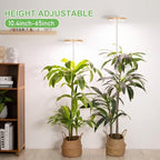 LORDEM Bamboo Grow Light for Indoor Plants, 2 Pack - Image 2