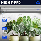 Barrina T5 Grow Lights for Indoor Plants, 2FT 5000K 40W (4 X 10W), 4 Packs - Image 3
