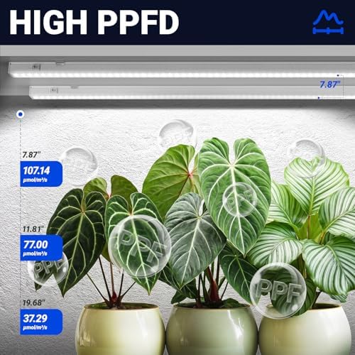 Barrina T5 Grow Lights for Indoor Plants, 2FT 5000K 40W (4 X 10W), 4 Packs - Image 3