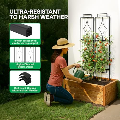 IDZO 2-Piece Diamonds Design Decoration Trellis, Metal Decorative Trellis for Climbing Plants Outdoor, Garden Trellis for Climbing Plants, Climbing Rose Trellis, 48-Inch Tall Each, Black - Image 2