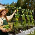 Cucumber Trellis for Raised Bed, U-Shape Garden Arch Metal Support for Climbing Plants, Metal Arch Plant Support Vegetables Trellis, Plant Support for Vine Outdoor(Black, 63*30*47inch(L*W*H)) - Image 5