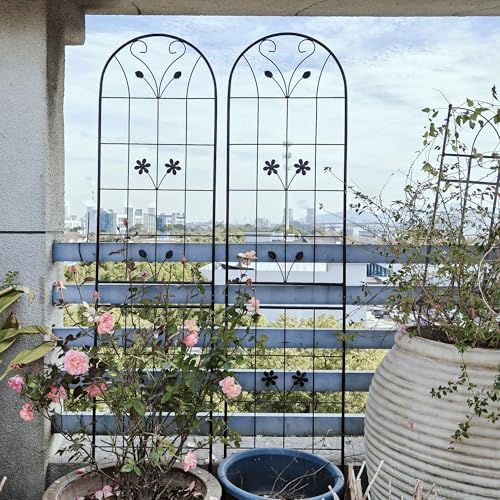Garden Trellis for Climbing Plants Outdoor, 2-Pack 86" Metal Rustproof by Unknown