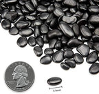 10lb Black Small Decorative Pebbles - Gravel River Rock,Natural Polished Decorative Stones 3/8" Gravel Size,Pebbles Gravel for Bamboo Plants,Succulent,Home Decor,Landscaping,Vase Fillers and More. - Image 2