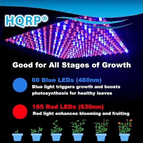 HQRP 14W 225 LED Blue + Red Spectrum Hydroponic Plant Grow Light Panel/Lamp - Image 4