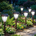 DERAYSION 8 Pack Solar Lights Outdoor Pathway, Stainless Steel Glass Solar Garden Lights, Auto On/Off Long-Lasting Waterproof Outdoor Solar Lights for Yard, Landscape, Path, Driveway, Walkway Décor by DERAYSIONSolarLighting