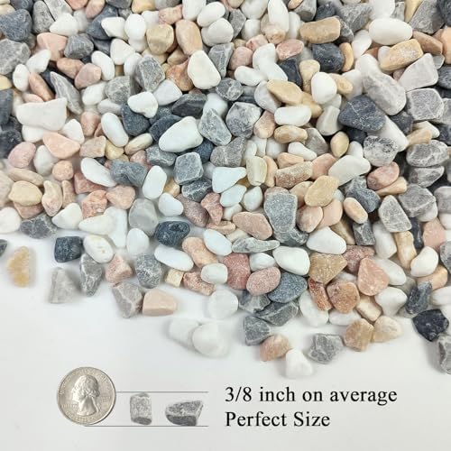 FANTIAN 10 lbs Pebbles for Landscaping, 3/8 Inch Pea Gravel for Plants - Image 2