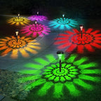Solar Pathway Lights Outdoor, 8 Pack RGB Color Changing+Warm White LED Path Light IP67 Waterproof, Solar Powered Lights for Walkway Driveway Garden Yard Backyard Lawn Landscape Lighting Decorative by Fomaiasolarlights