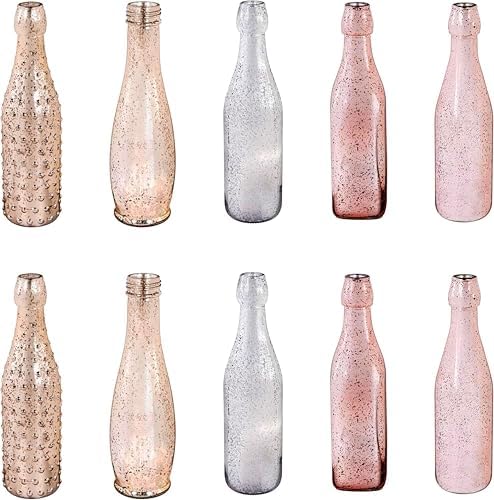 Evergreen Garden Glass Bottles for Bottle Tree, Wine Bottles for Decorativation Indoor Outdoor Wedding Christmas Party Decor (Mercury Glass, Set of 10) by EvergreenGarden