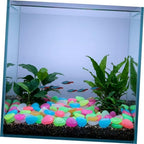Resin Pebbles Easy to Use Glow-in-the-Dark 500pcs Recharge in Sunlight Luminous Stones Random Color for Outdoor Garden Decor for Pathways and Decorative Planters, Landscaping - Image 5