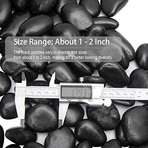 Black River Rocks - Large Polished Black Pebbles for Plants & Garden Decorative Stones, 1-2 Inch, 15 Pound - Image 6