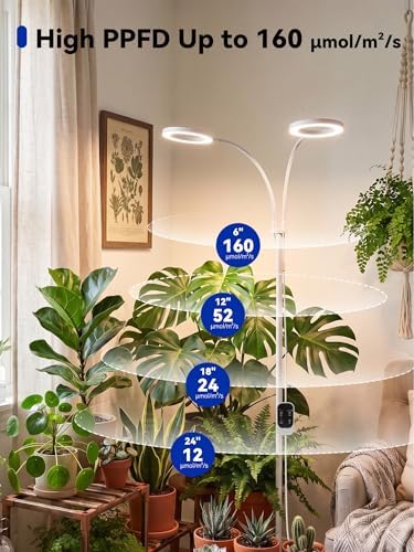GLOWRIUM Grow Lights for Indoor Plants,Full Spectrum Plant Light with Stand - Image 5