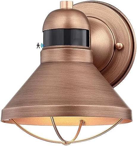 Motion Sensor Outdoor LED Barn Light Dusk to Dawn Exterior Wall Lantern by LONEDRUID