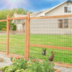 Green PVC Coated Welded Wire Fence 48" x 50' Roll, 2"x4" Mesh, 14 Gauge - Image 2