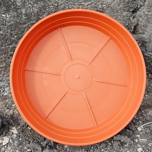 LWALRS Plant Saucer 14 Inch 4 Pack 6 8 10 12 14 16 18 20 25, Plastic Plant Trays for Pots，Extra-Deep Plant Water Dray Tray, Bird Bath Bowl, Heavy Flower Plant Saucers Indoors and Outdoor No Holes - Image 6